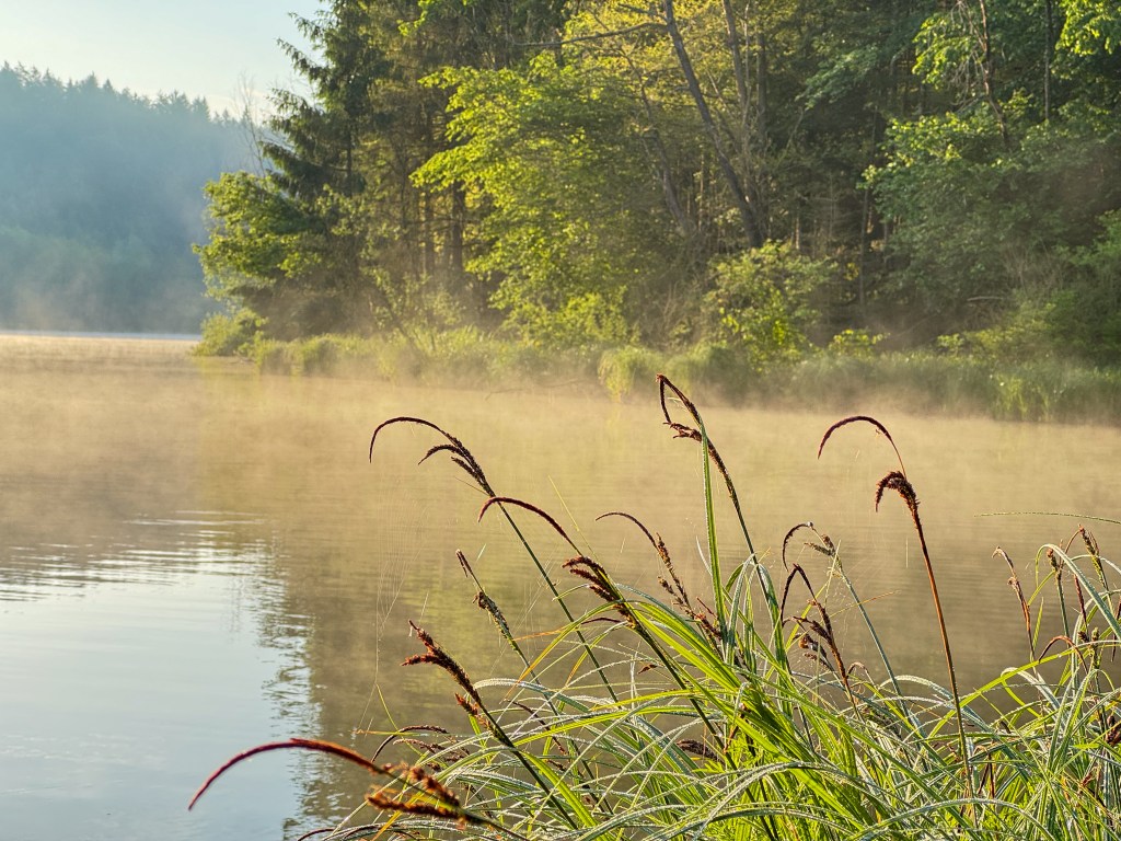 Vpliv osebnostnih lastnosti na razvoj in vzdrževanje kronične&nbsp;bolečine
